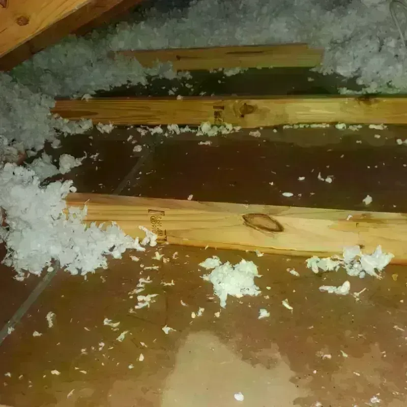 Attic Water Damage in Gleneagle, CO